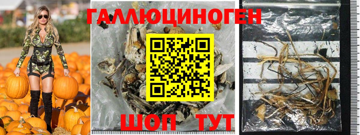 Псилоцибиновые грибы мухоморы  Вход с VPN  Муром 