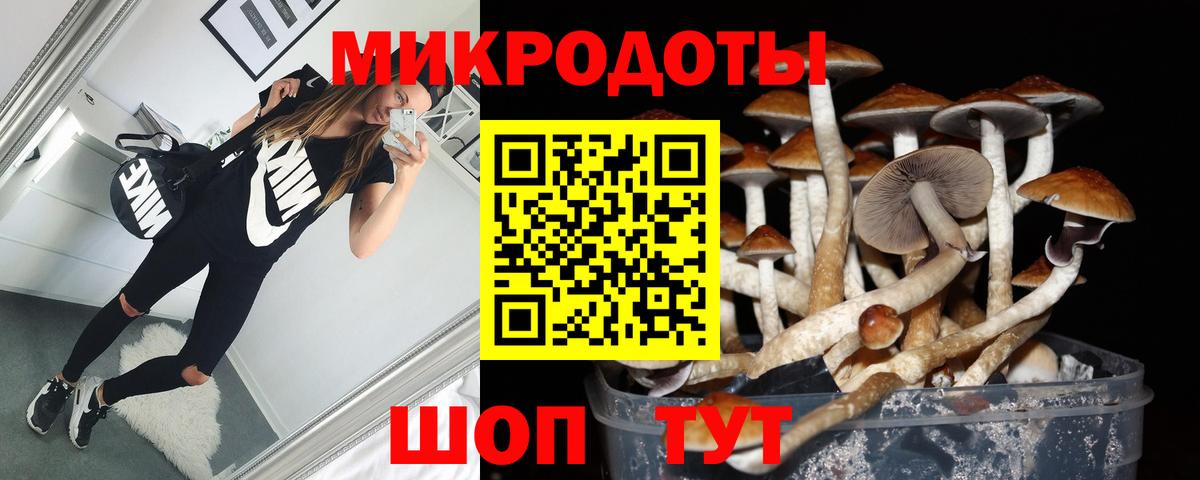 Псилоцибиновые грибы мицелий Муром