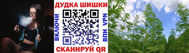 Бошки Шишки план  Муром 